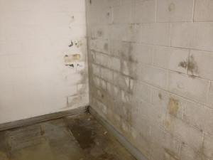 basement floor and walls discolorated and damaged due to poor drainage system
