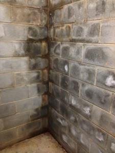 wet spots on basement walls