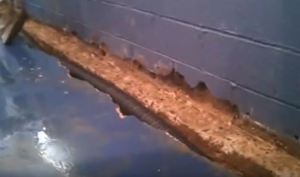 foundation damaged due to badly installed basement waterproofing system