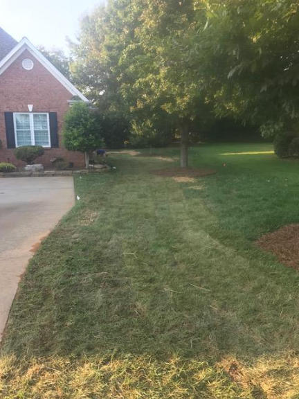 yard after regrading and sod installation by Parks' Waterproofing