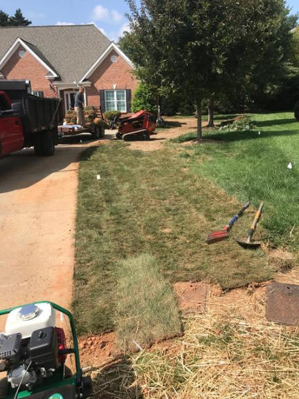 yard being regraded by Parks' Waterproofing