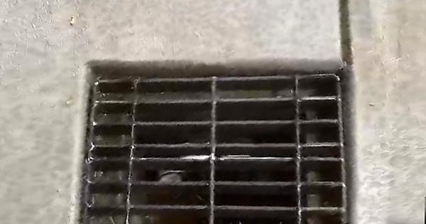 Gutter
