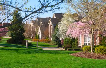 Nice Lawns in Neighborhood