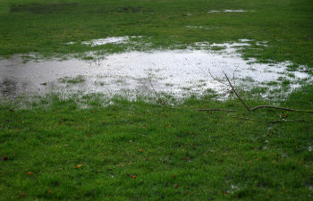 waterlogged lawn with standing water in a large puddle